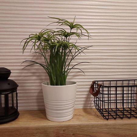 Apartament Sun&Fun - Rowy 로비 외부 사진
